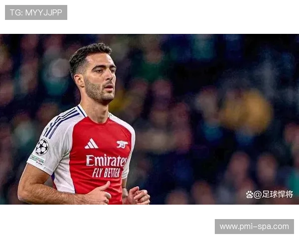 梅里诺中场风格