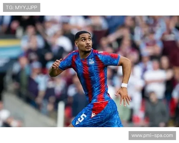 英超水晶宫本赛季表现稳健，竞争力持续提升