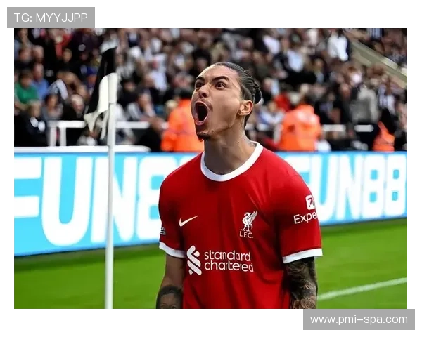 努涅斯与卢卡库：身体型前锋的终结效率及战术角色对比分析